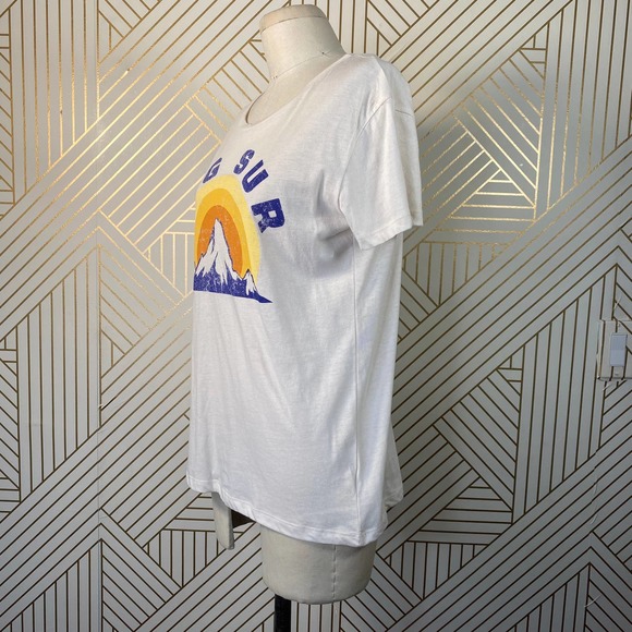 Chaser Tops Chaser Big Sur Graphic Tee Tshirt In Au Lait Poshmark